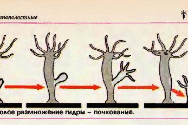 Не приходят деньги на кракен