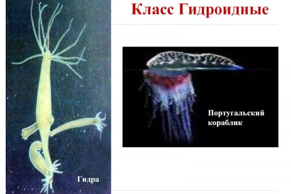 Кракен наркоплощадка
