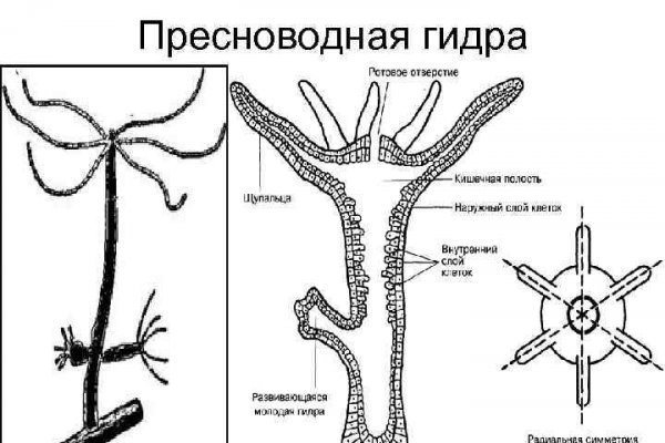 Кракен ссылка стор