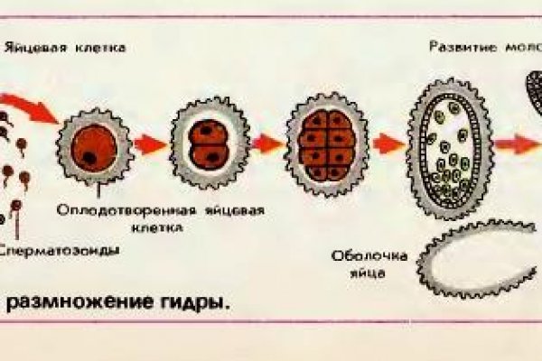 Кракен вместо гидры